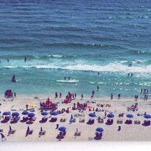 Meet your Posher, Annabelle